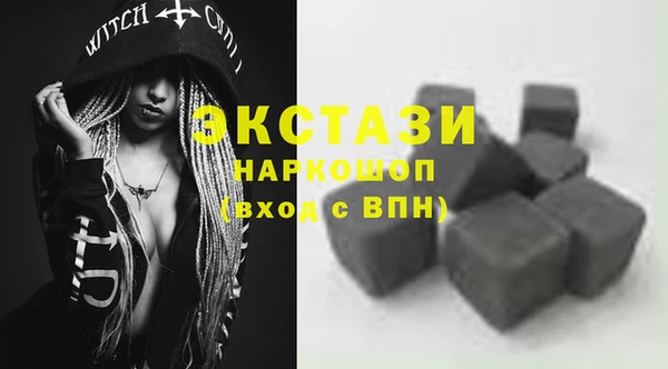 индика Шадринск