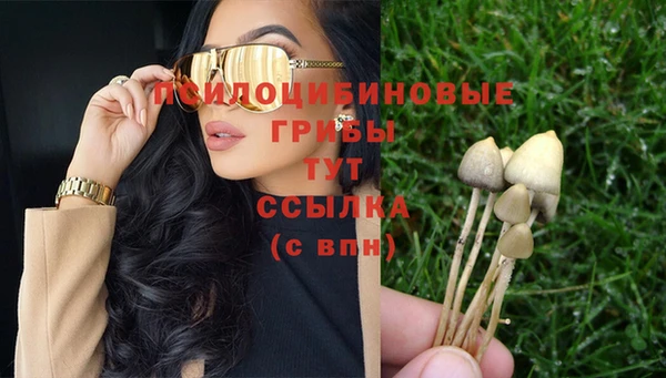 индика Шадринск