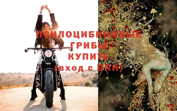 бутират Шали