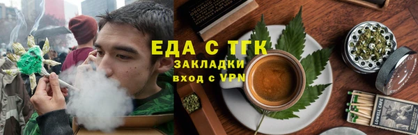 индика Шадринск