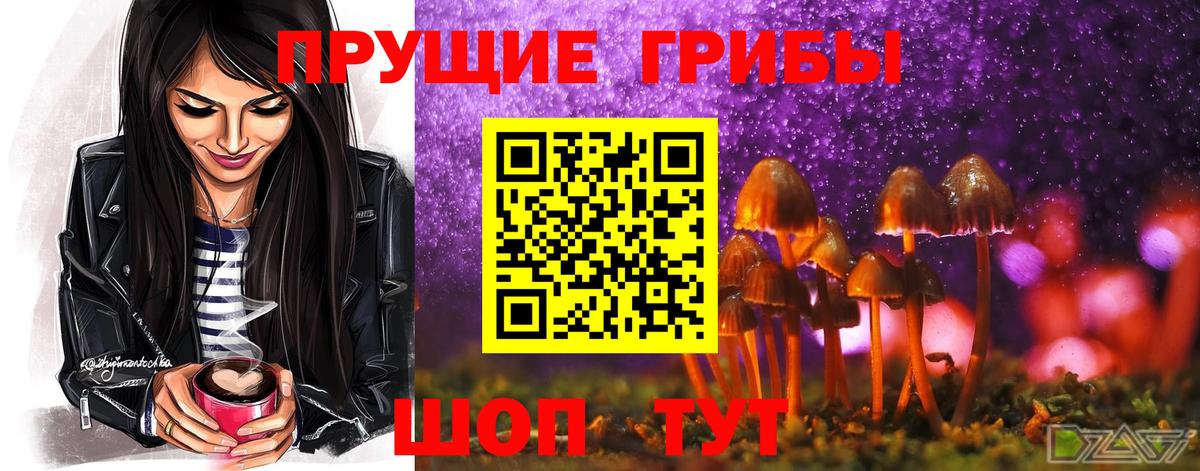 Псилоцибиновые грибы Psilocybine cubensis Воронеж