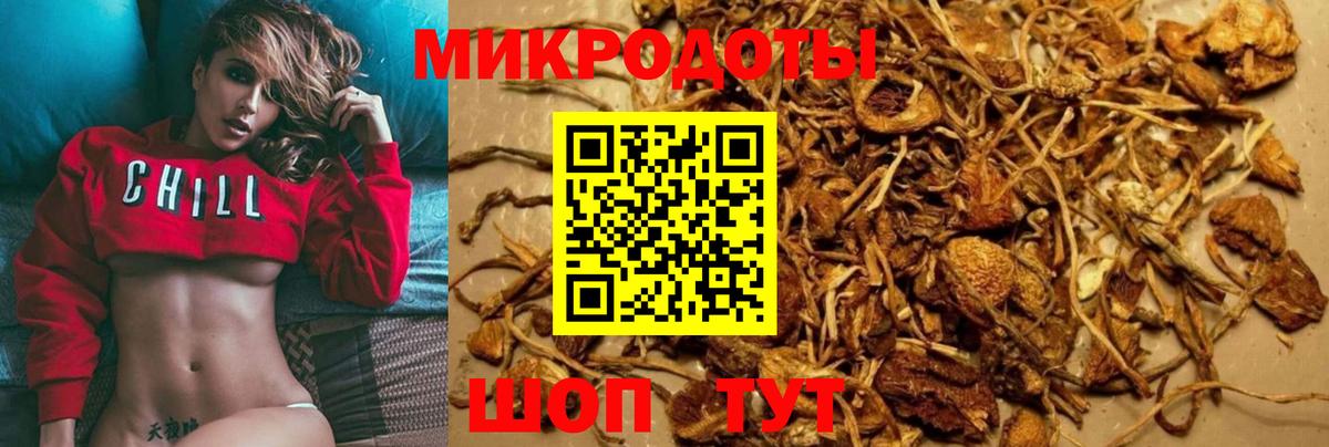 Псилоцибиновые грибы Magic Shrooms  Воронеж 