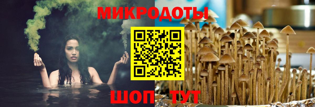 Псилоцибиновые грибы Magic Shrooms  Псилоцибиновые грибы мицелий  Воронеж  Вход с VPN 