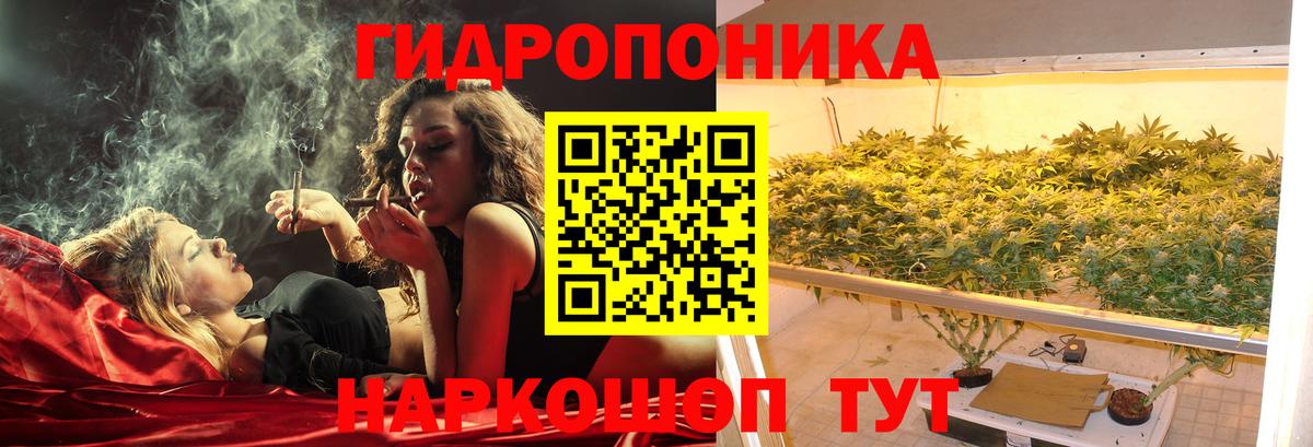Каннабис гибрид Воронеж
